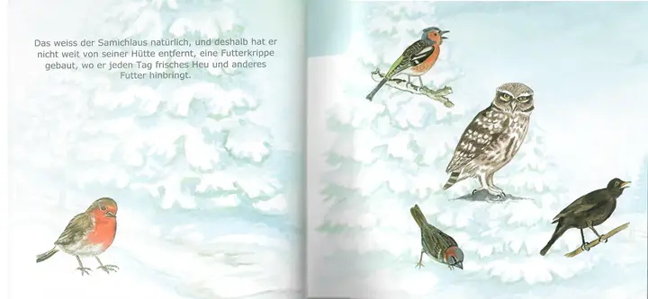 Kinderbuch von Helena Aeschbacher-Joos