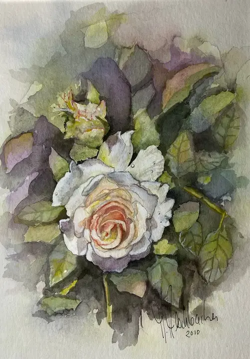 Rose verkauft (Aquarell)